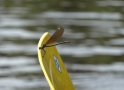 Boat trip on Gauja 28.07.2012