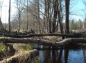 Boat trip on Kekavina 05.2013