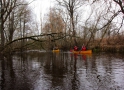 Boat trip - on Misa river 